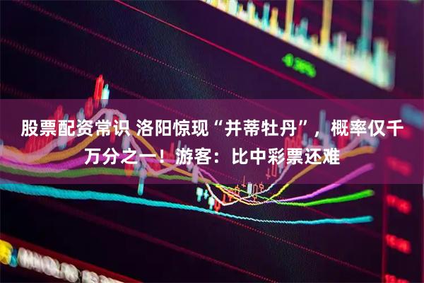 股票配资常识 洛阳惊现“并蒂牡丹”，概率仅千万分之一！游客：比中彩票还难
